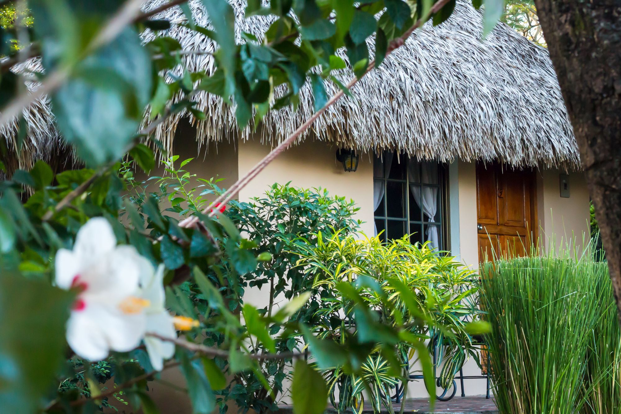 Hotel Mariposa León Eksteriør bilde
